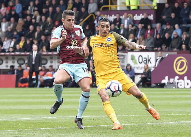 了新的期待 了新的期待